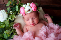 Harper